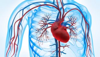 Circulación sanguínea e ilustración del corazón