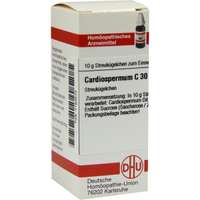 Cardiospermum C12