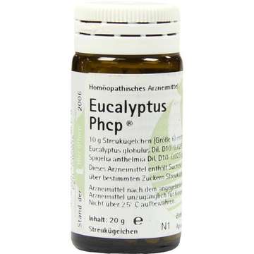 Eucalyptus comp.