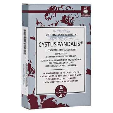 Cystus Pandalis