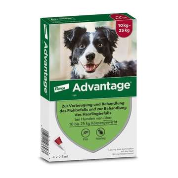 Advantage 250 für Hunde