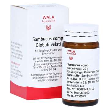 Sambucus comp.