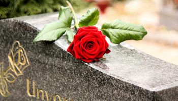 Close-up of a red rose on a gray marble tombstone.