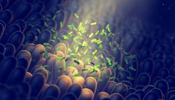 intestinal bacteria, intestinal flora health, 3D imaging