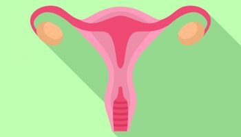 Illustrazione di un utero umano. Utero simbolo della donna.