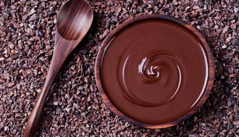 Spoon and a bowl of melted chocolate on cocoa beans.