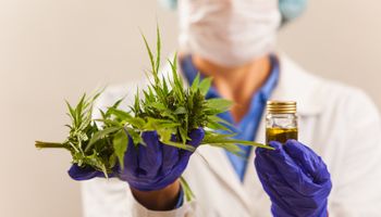 I medici tengono e offrono ai pazienti marijuana medica e olio. Prescrizione di cannabis per uso personale, rimedio legale per farmaci leggeri, rimedio alternativo o medicina, concezione medica.