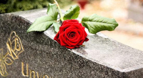 Primer plano de una rosa roja sobre una lápida de mármol gris.