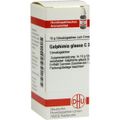 Galphimia glauca C6