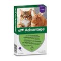 Advantage 80 mg Lösung zum Auftropfen auf die Haut für große Katzen und große Zierkaninchen