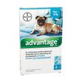 Advantage 100 mg Lösung zum Auftropfen auf die Haut für Hunde