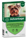 Advantage 40 mg Lösung zum Auftropfen auf die Haut für Hunde