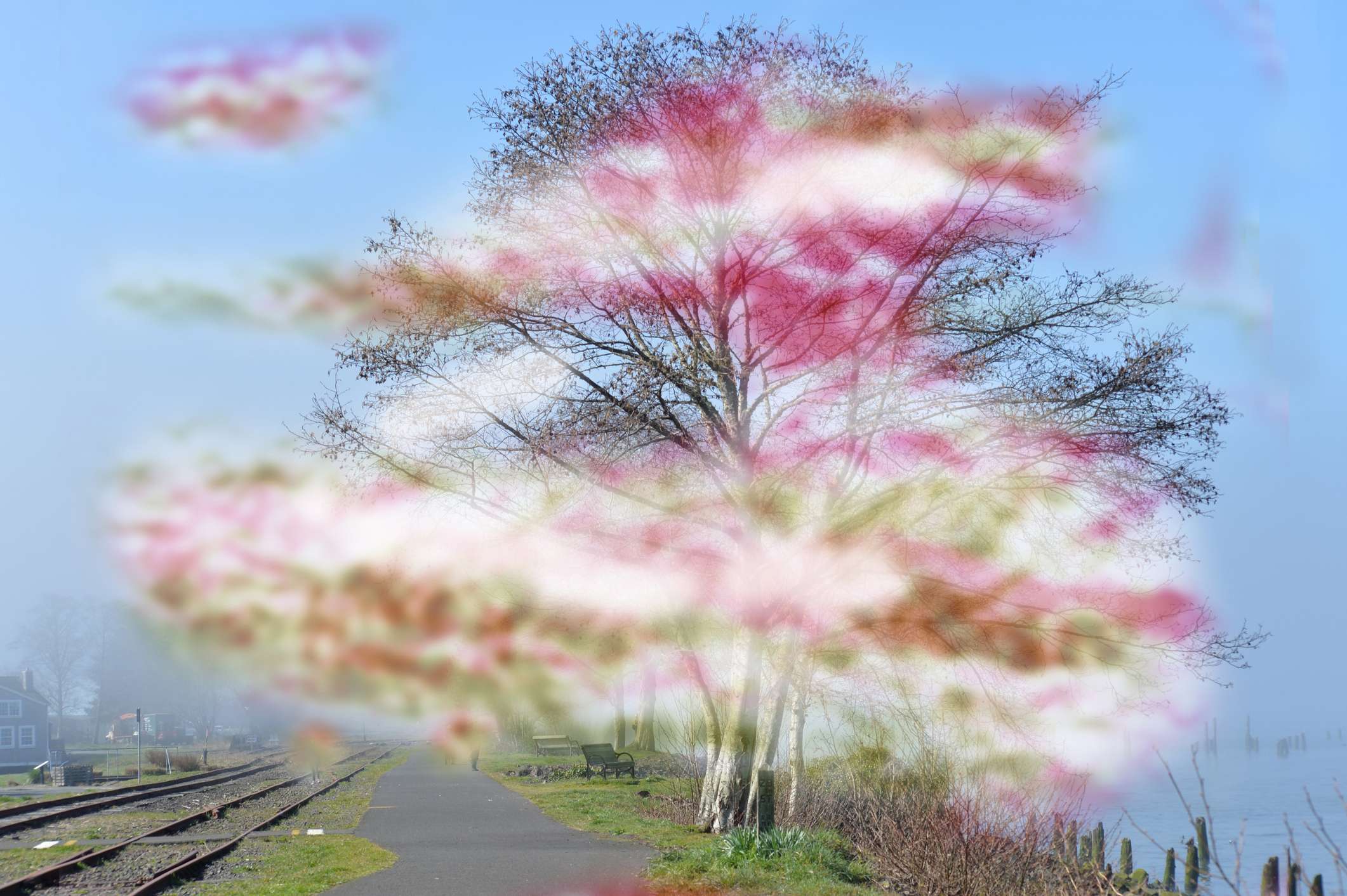 Aura migraineuse