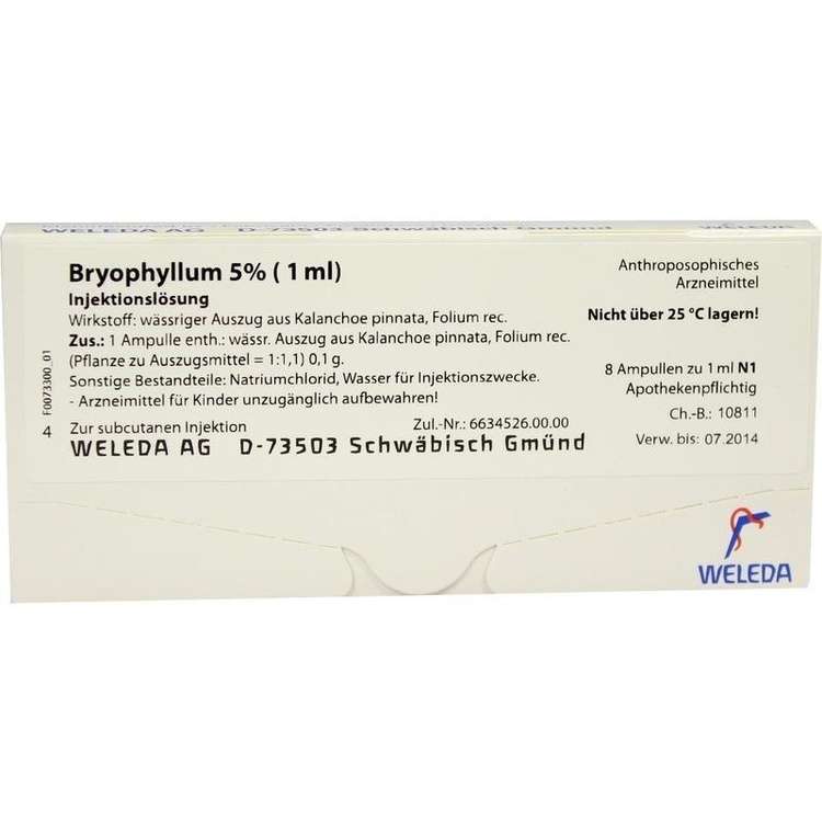 Bryophyllum 5% (1 ml)