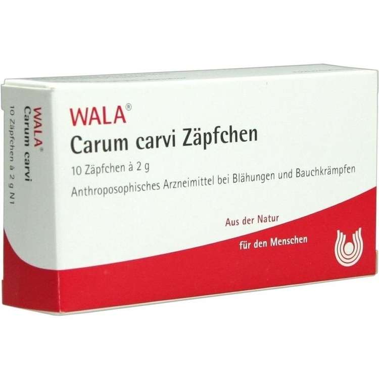 Carum carvi Zäpfchen