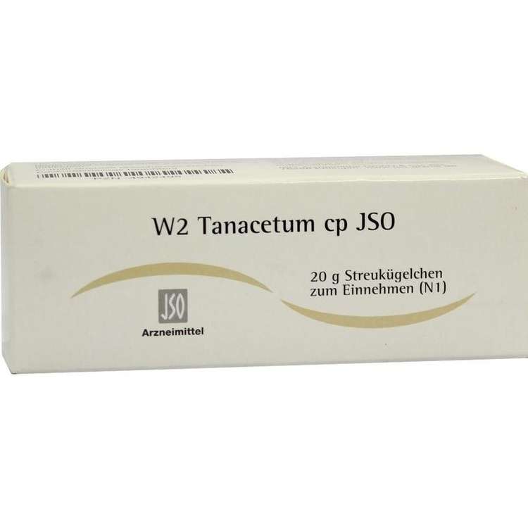 W2 Tanacetum cp JSO