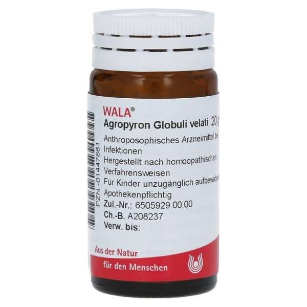Agropyron Globuli velati