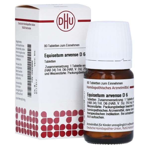 Equisetum arvense D6