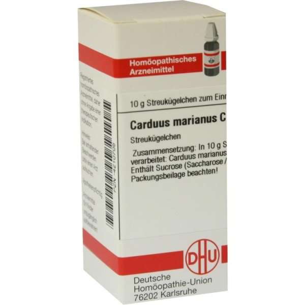 Carduus marianus C2