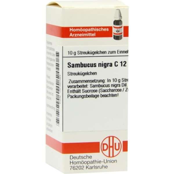 Sambucus nigra C3