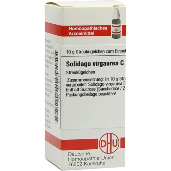 Solidago Virgaurea C2