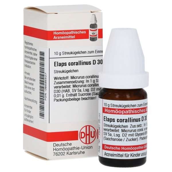 Elaps corallinus D8