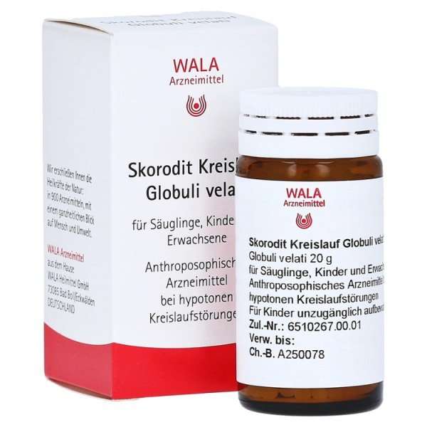 Skorodit Kreislauf Globuli velati