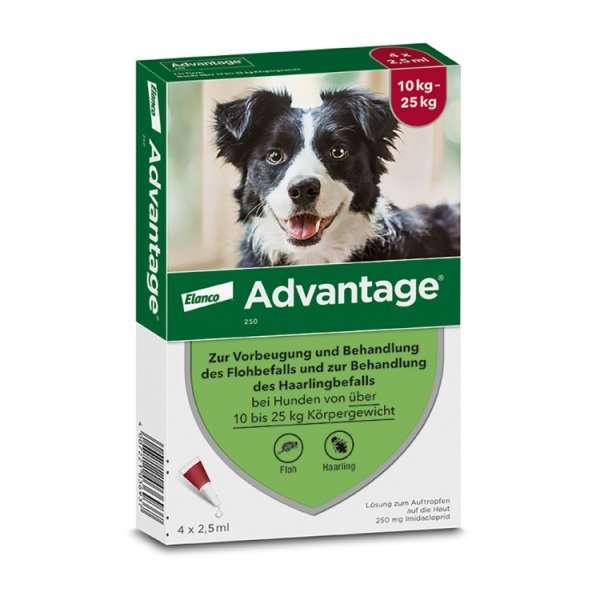 Advantage 250 für Hunde