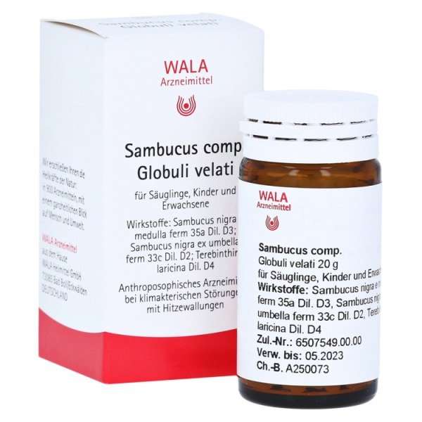 Sambucus comp.