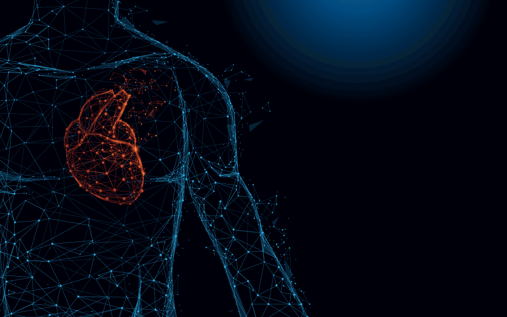 La anatomía del corazón humano forma líneas y triángulos, malla de conexión de puntos sobre fondo azul. Ilustración vectorial