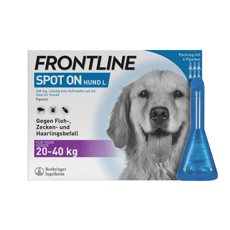 Frontline Spot on Hund L 268 mg Lösung zum Auftropfen auf die Haut für Hunde