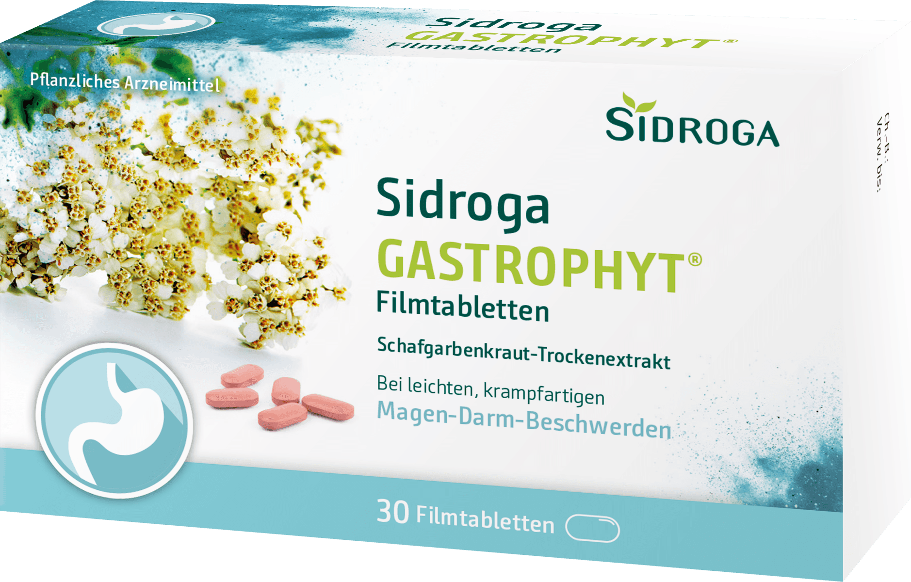 Sidroga GastroPhyt Filmtabletten