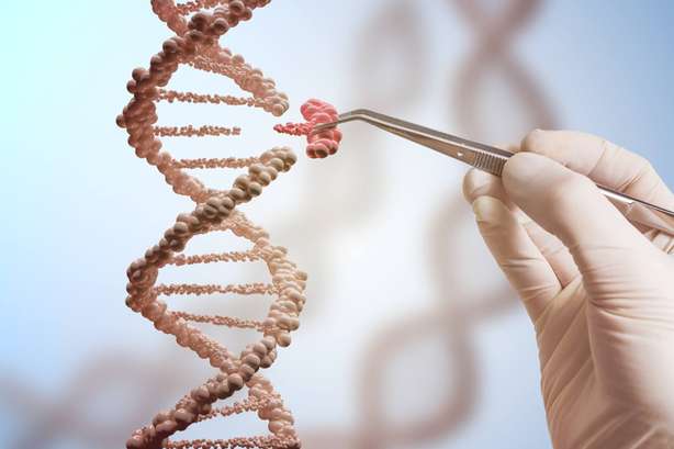 Eine Hand ersetzt einen Teil eines DNA-Moleküls. Konzept der Gentechnik und Genmanipulation. Die Hand ersetzt einen Teil eines DNA-Moleküls.