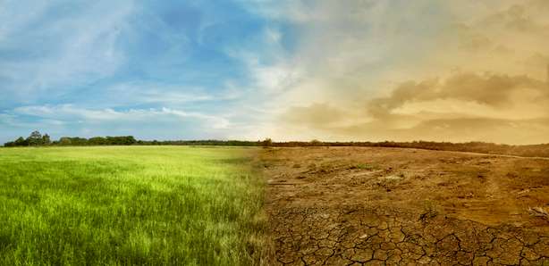 Geteilte Landschaft mit grüner und trockener Wiese
