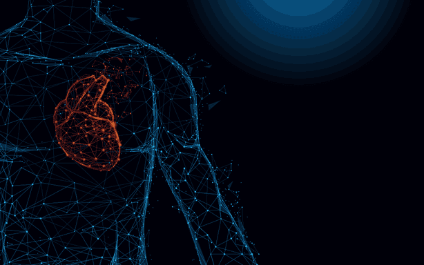 Vektorgrafik bildet ein anatomisches Herz und den menschlichen Körper auf blauem Hintergrund. Menschliche Herz-Anatomie formt Linien und Dreiecke, Punkt Verbindungsnetz auf blauem Hintergrund. Illustrationsvektor