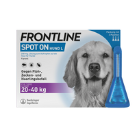 Frontline Spot on Hund L 268 mg Lösung zum Auftropfen auf die Haut für Hunde