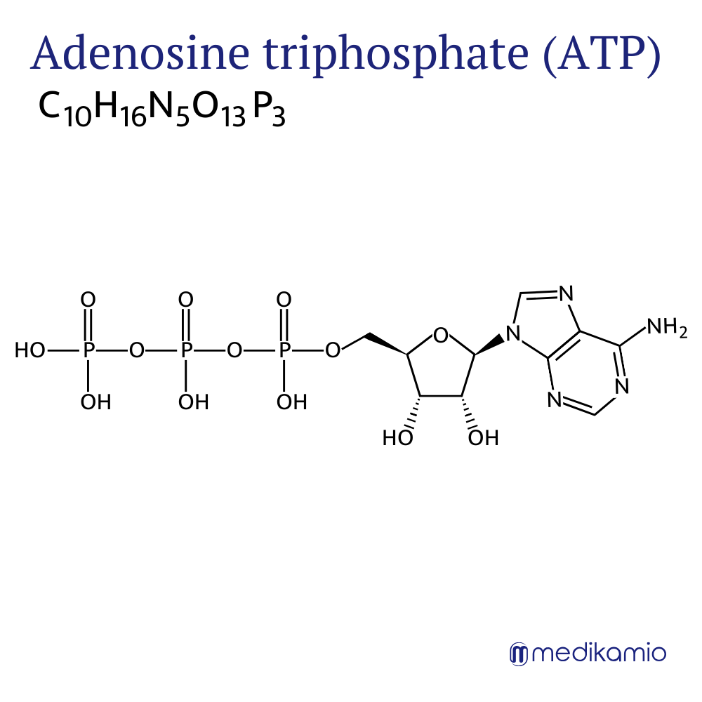 Gráfico Fórmula estructural del principio activo trifosfato de adenosina (ATP)