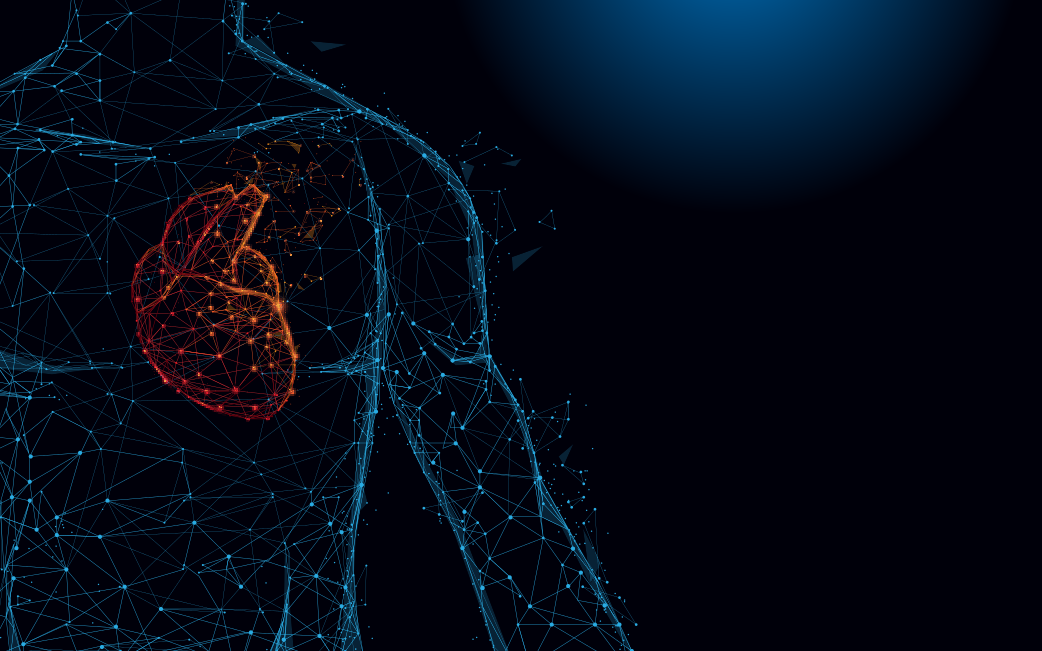 Human heart anatomy shapes lines and triangles, dot connecting mesh on blue background. Illustration vector