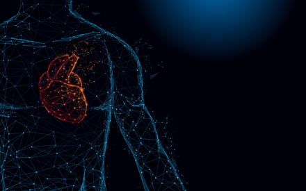 L'anatomia del cuore umano forma linee e triangoli, maglia di collegamento dei punti su sfondo blu. Illustrazione vettoriale