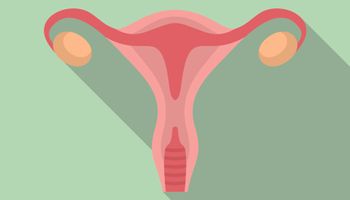 Illustration d'un utérus humain. Utérus symbole de la femme.