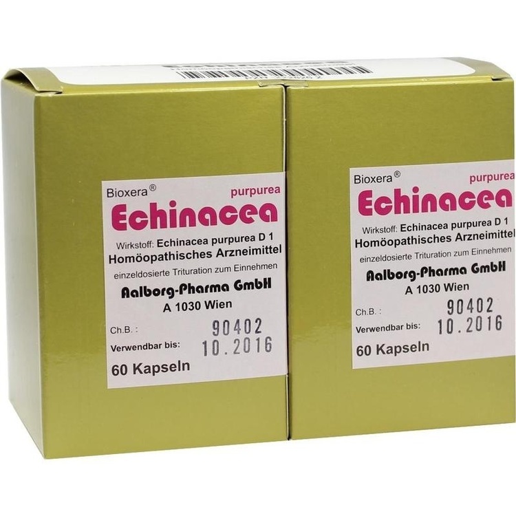 Echinacea D4