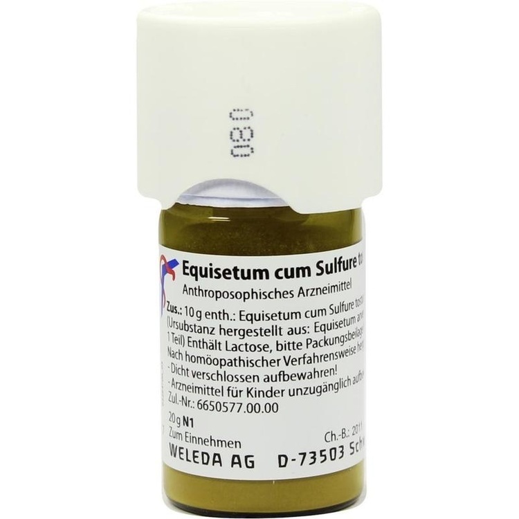 Abbildung Equisetum cum Sulfure tostum D1