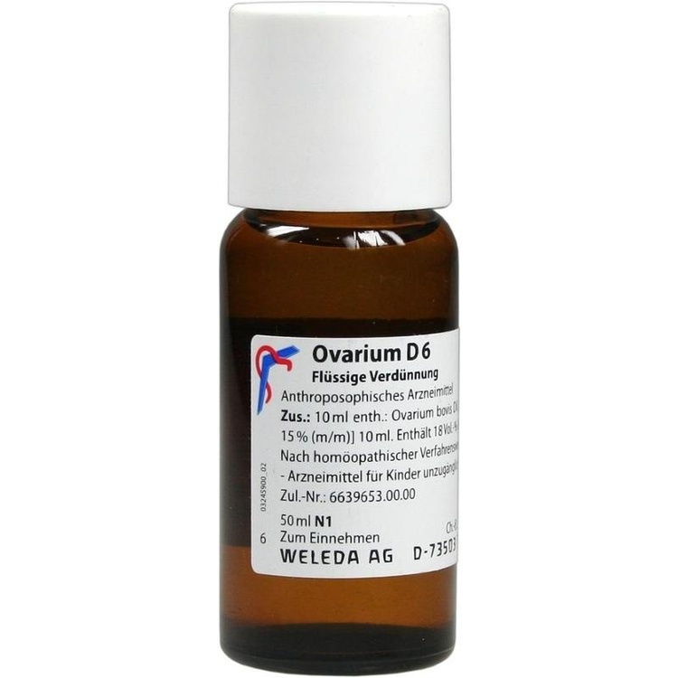 Abbildung Ovarium D6