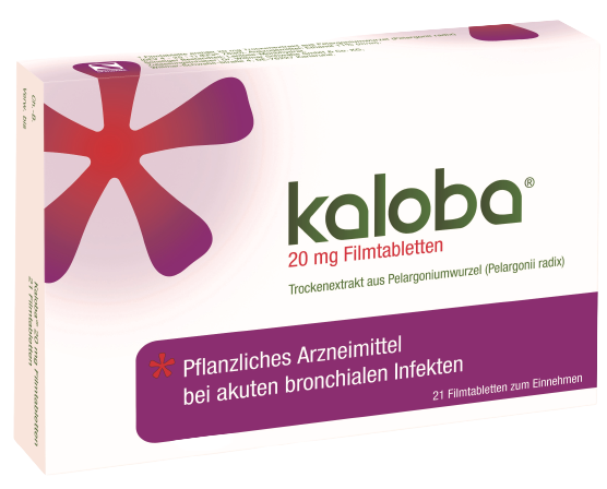 Abbildung Kaloba 20 mg Filmtabletten