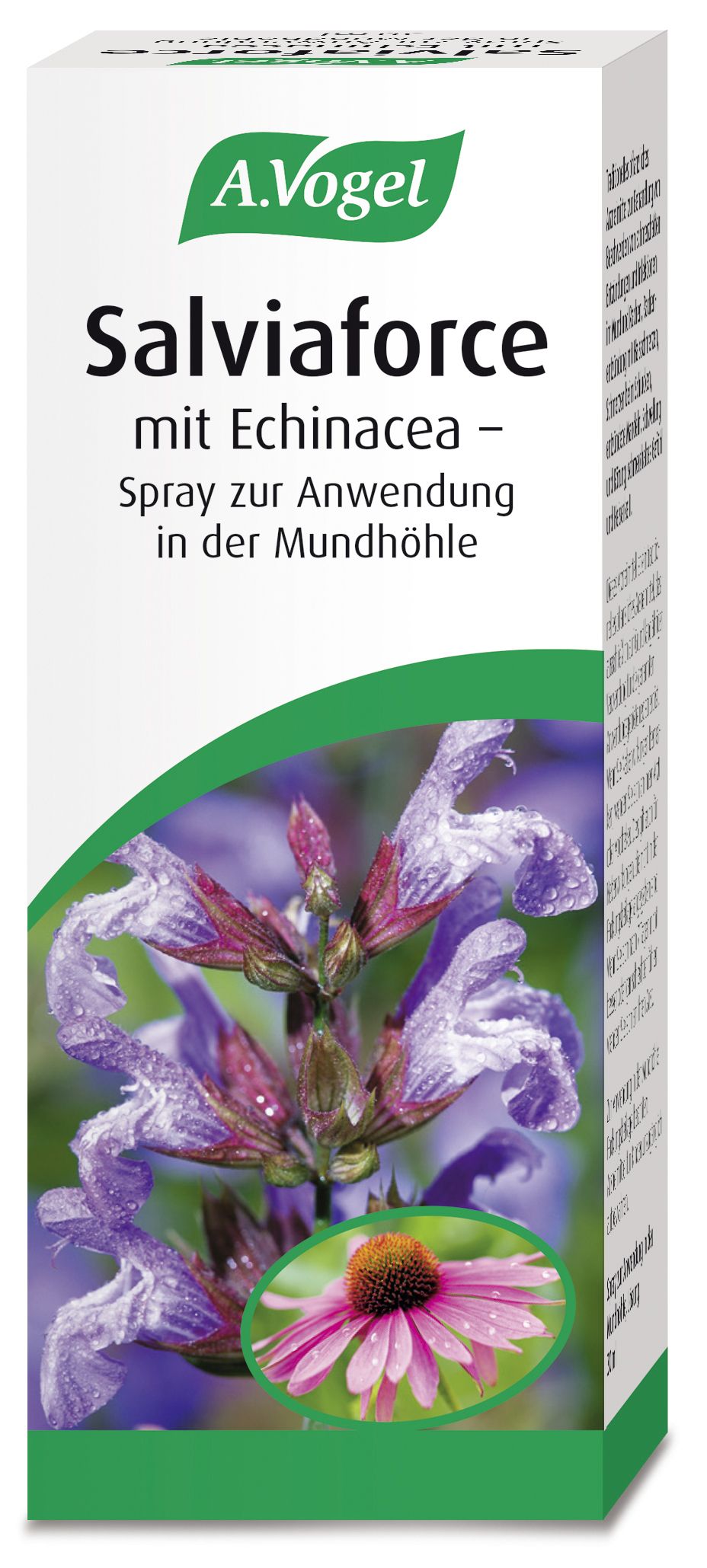 Abbildung Salviaforce mit Echinacea – Spray zur Anwendung in der Mundhöhle